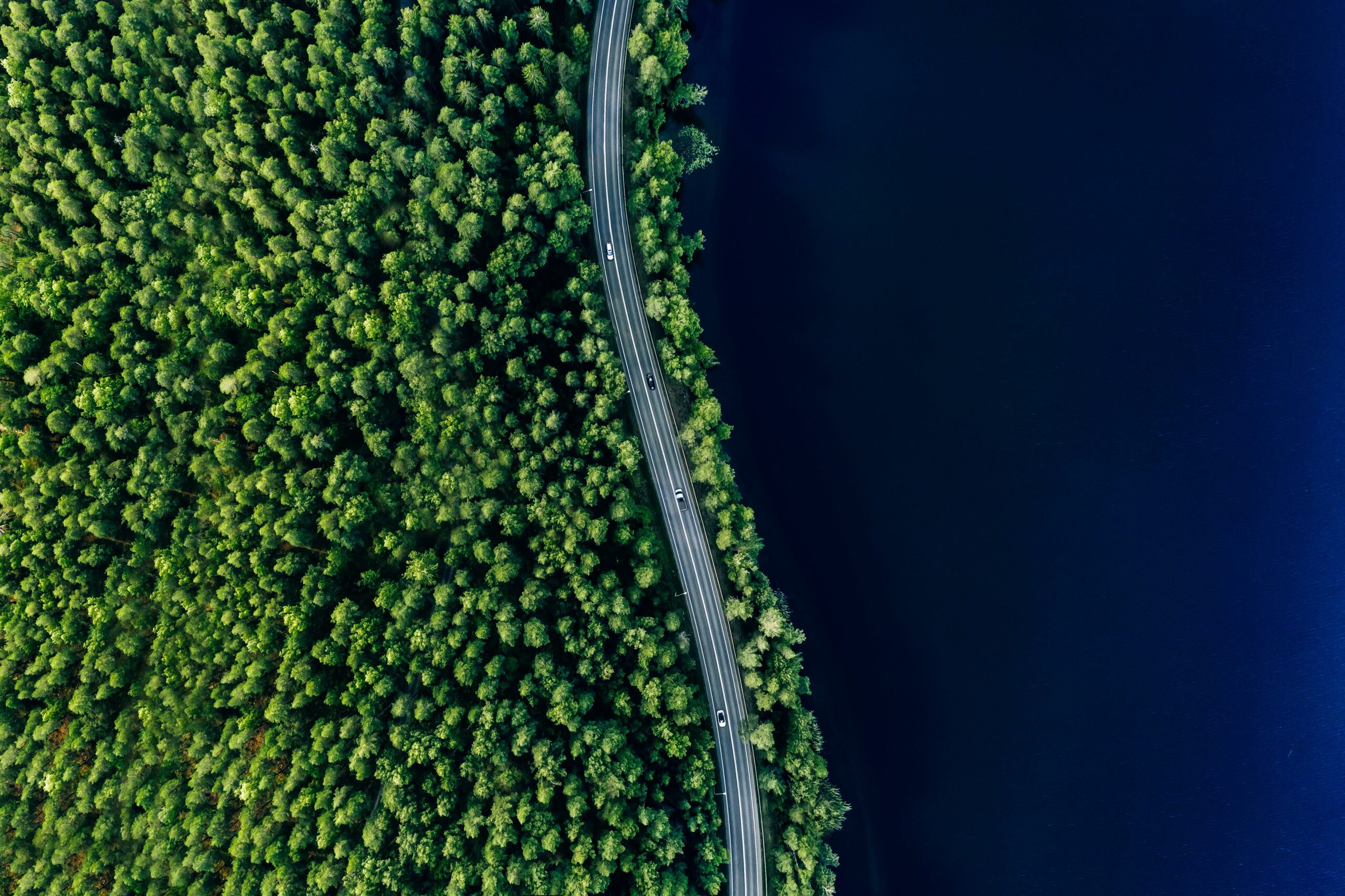 Aerial view of road in green woods and blue lakes water in summer Finland